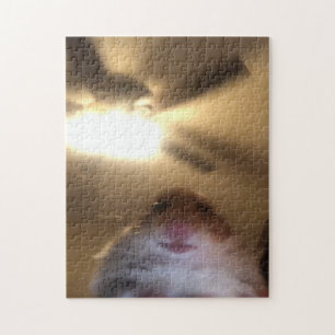 Hamster Staring Meme Pussel