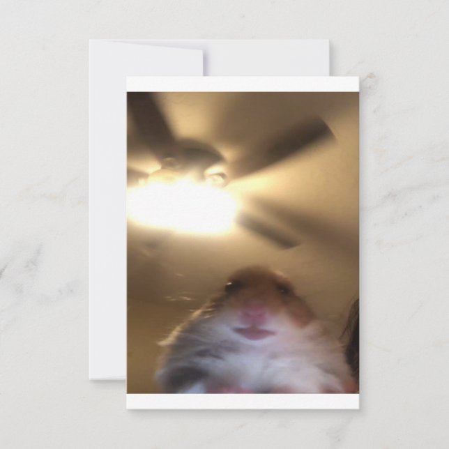 Hamster Staring Meme Spara Datumet (Framsida)