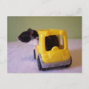 Hamster-vykort Vykort