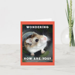 Hamster WonNote Card Kort