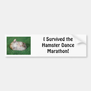 Hamsterdansmaraton Bildekal