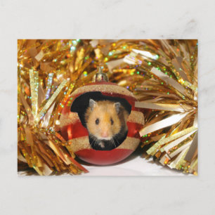 Hamsterjul Helg Vykort