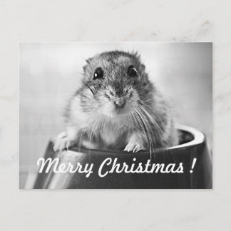Hamsterjulkort Helg Vykort