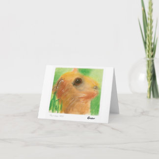 Hamsterkort Kort