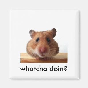 Hamstermagnet Magnet