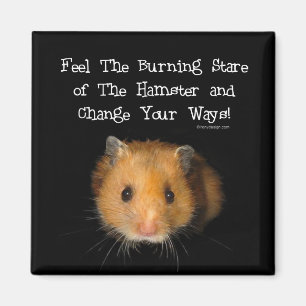 Hamstermagneten Magnet