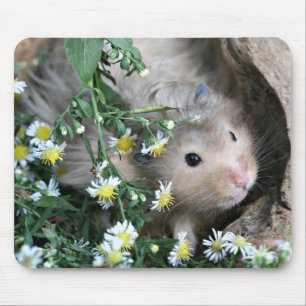 hamstermousepad musmatta