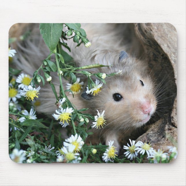 hamstermousepad musmatta (Framsidan)