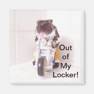 Hamsterskåpmagnet Magnet