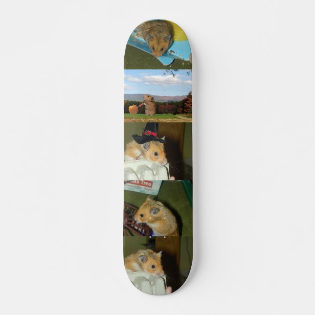 HamsterSkateboard Skateboard Bräda 19,5 Cm (Framsida)