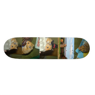 HamsterSkateboard Skateboard Bräda 19,5 Cm