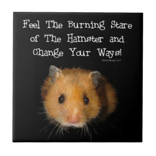 Hamsterstirrandet Kakelplatta