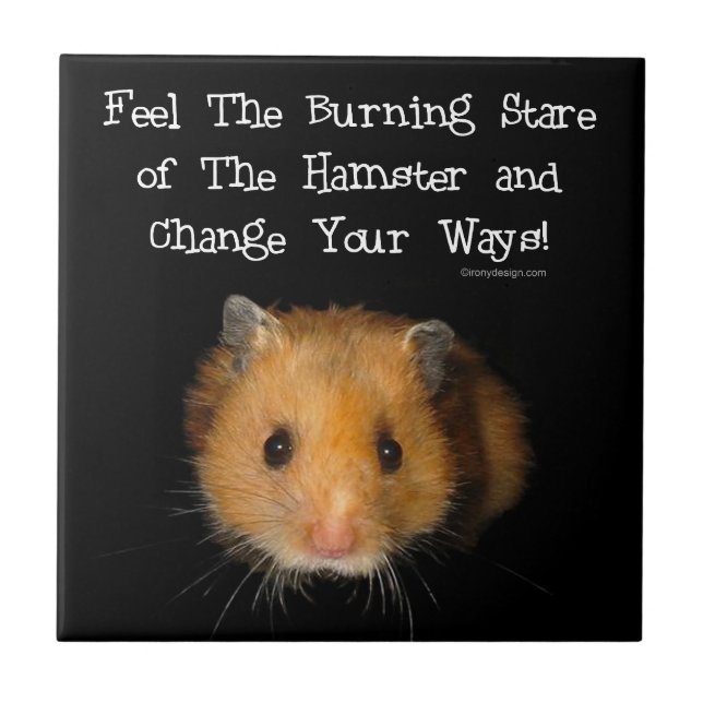 Hamsterstirrandet Kakelplatta (Framsidan)