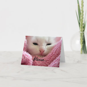 Hämta bra Kitten Kort