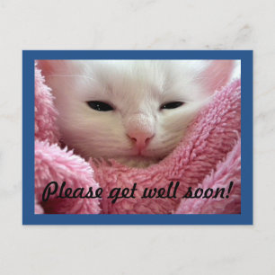 Hämta bra Kitten Vykort