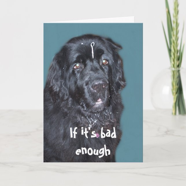 Hämta bra~ Newfoundland-Hund kort (Framsida)