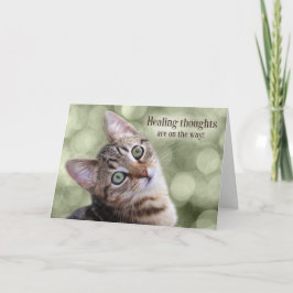 Hämta bra Tabby Kitten med Grönt Bokeh Kort