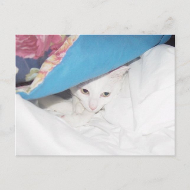 Hämta bra vykort (Framsida)