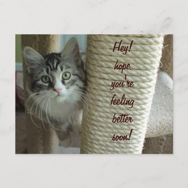 Hämta bra vykort (Framsida)