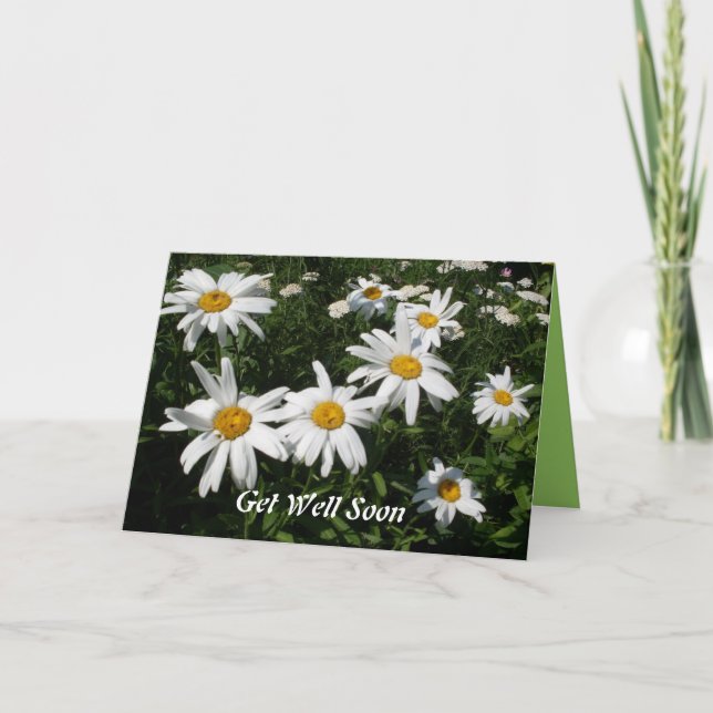 Hämta Daisy-kort Kort (Framsida)
