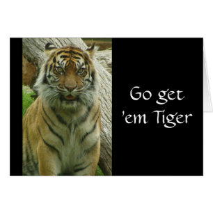Hämta dem Tiger Hälsningskort