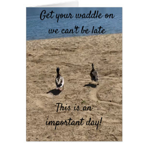 ***HÄMTA DIN WADDLE DEN*** ANKOR SÄGA "GRATTIS PÅ  HÄLSNINGSKORT