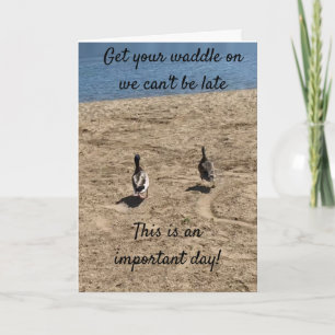 ***HÄMTA DIN WADDLE DEN*** ANKOR SÄGA "GRATTIS PÅ  KORT
