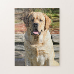 Hämta fotomall för hund pussel