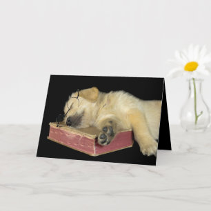 Hämta gammal Golden Retriever på bok Kort