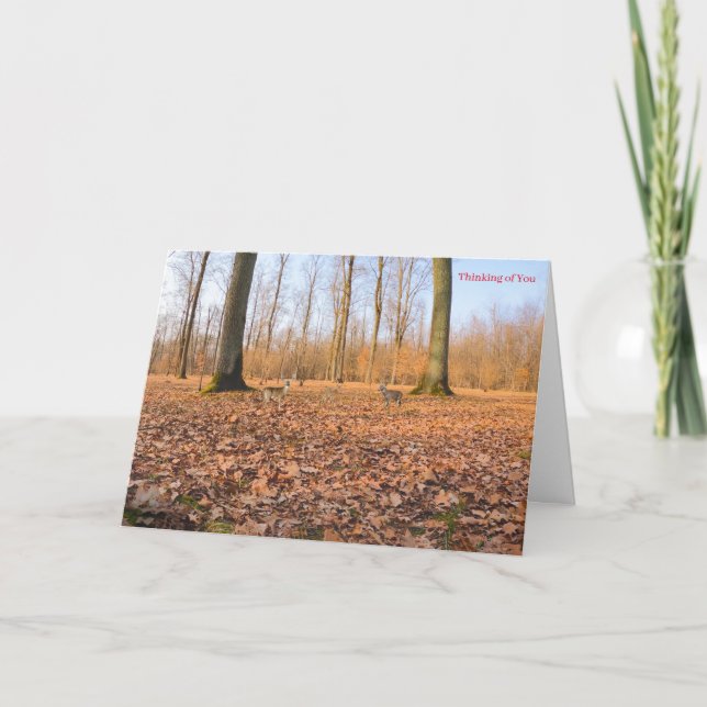 Hämta källkort kort (Framsida)