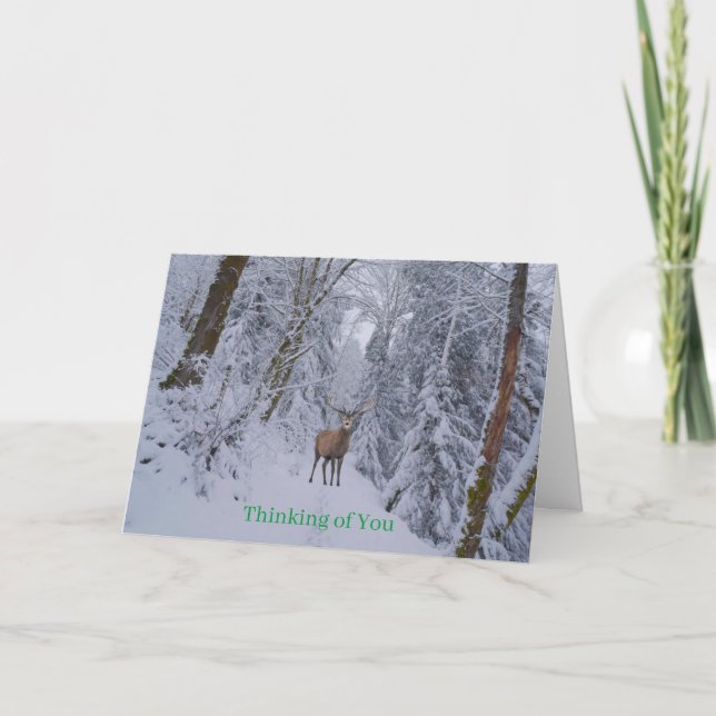 Hämta källkort kort (Framsida)