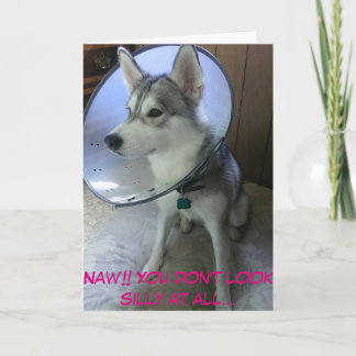 Hämta källkort nr 2 (roligt) kort