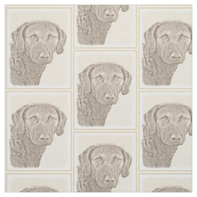 Hämta originalbild för Chesapeake Bay-återgivning Tyg (Provkarta)