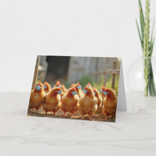 Hämta snart kyckling med maskor kort