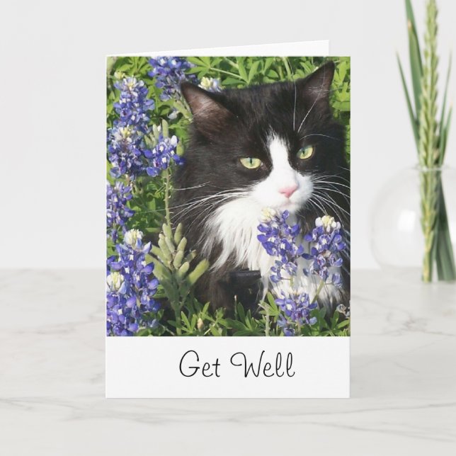 Hämta Tuxedo Cat-kort i Texas Bluebonnet Kort (Framsida)