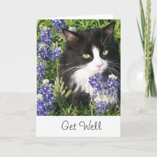 Hämta Tuxedo Cat-kort i Texas Bluebonnet Kort