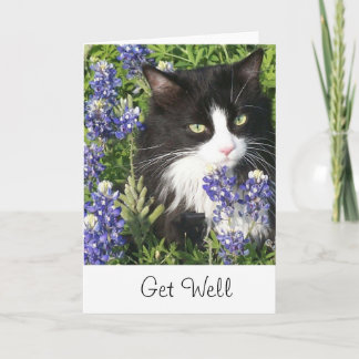 Hämta Tuxedo Cat-kort i Texas Bluebonnet Kort