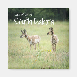 Hämta Vild i South Dakota Magnet