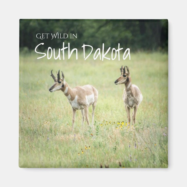 Hämta Vild i South Dakota Magnet (Framsidan)