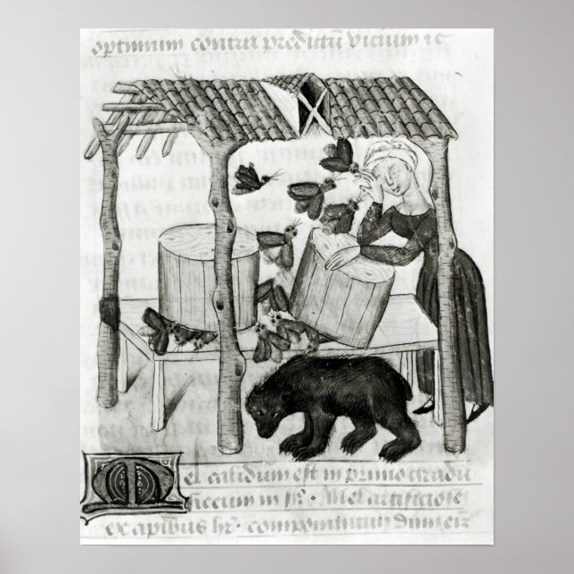 Hämtar honung poster (Framsidan)