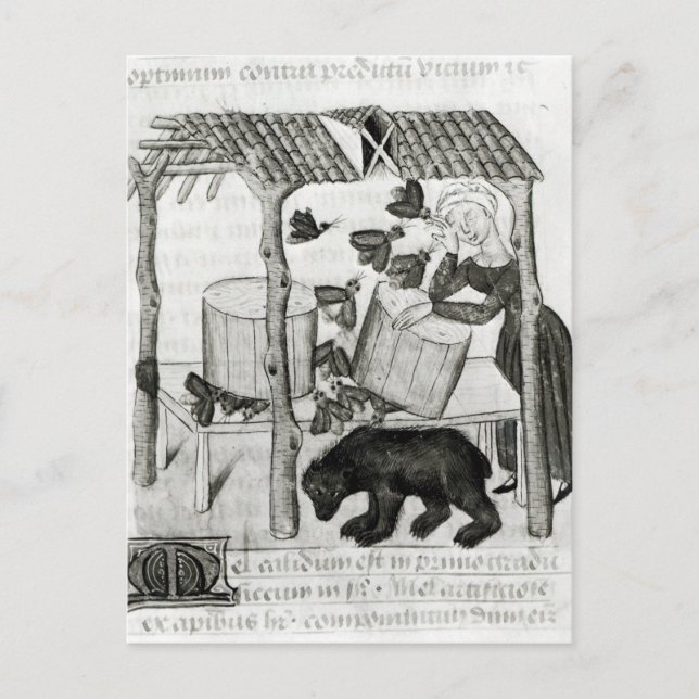 Hämtar honung vykort (Framsida)