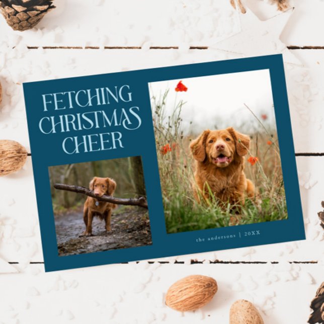 Hämtar julglädje Teal Hund Foto  Julkort (Skapare uppladdad)