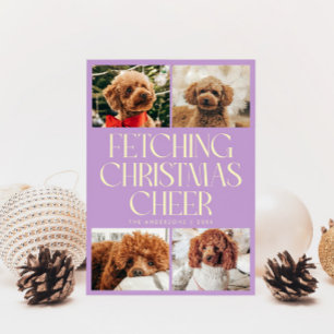 Hämtar Julstämning Hund Foto Citron Blåregn Julkort