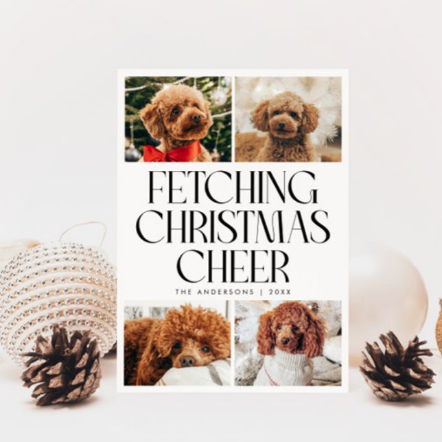 Hämtar julstämning Hund Foto Vitt Julkort (Skapare uppladdad)
