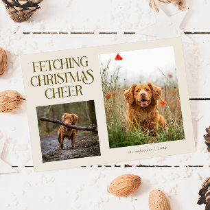 Hämtar julstämning kräm hund foto julkort