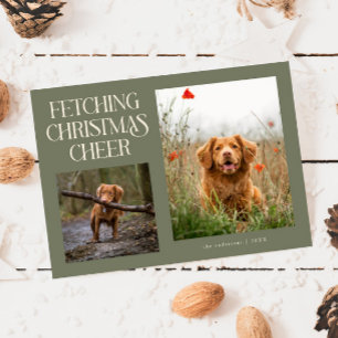 Hämtar julstämning Sagegrön hundfoto Julkort