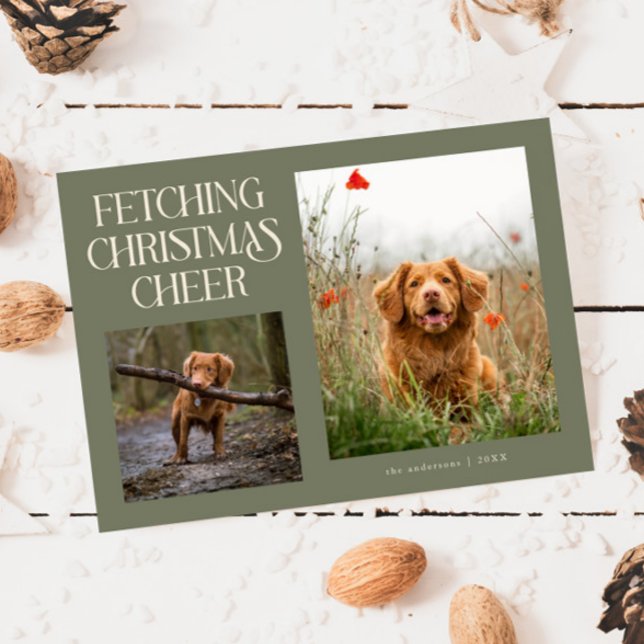 Hämtar julstämning Sagegrön hundfoto  Julkort (Skapare uppladdad)