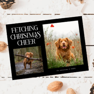 Hämtar julstämning Svart hundfoto Julkort