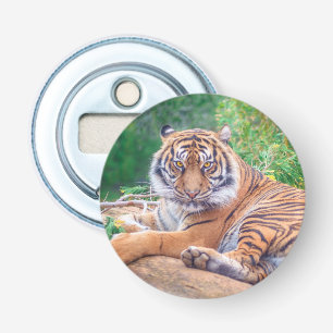 Hämtar tiger-foto med häftande återgivning flasköppnare