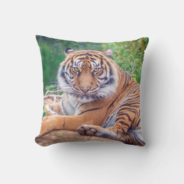 Hämtar tiger-foto med häftande återgivning kudde (Framsida)
